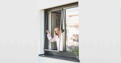 Insektenschutzgitter Aktion bei Holz Glas Miller Insektenschutzgitter Aktion bei Holz Glas Miller